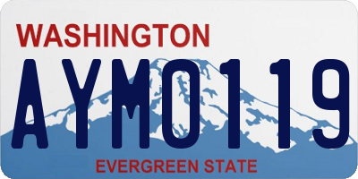 WA license plate AYM0119