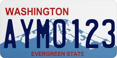 WA license plate AYM0123