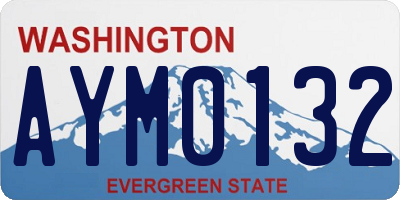 WA license plate AYM0132