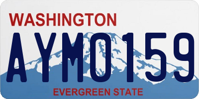 WA license plate AYM0159