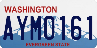 WA license plate AYM0161