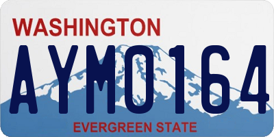 WA license plate AYM0164