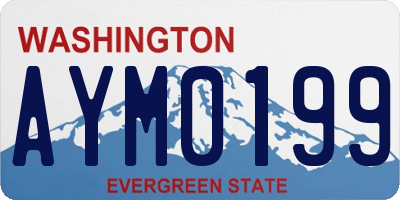 WA license plate AYM0199
