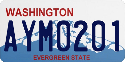 WA license plate AYM0201