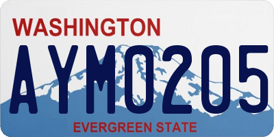WA license plate AYM0205