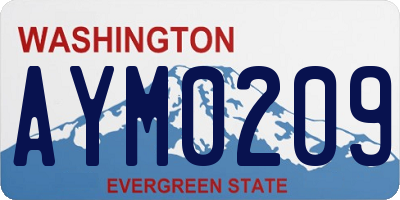 WA license plate AYM0209