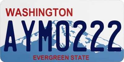 WA license plate AYM0222
