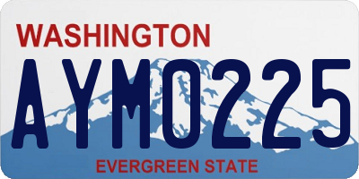 WA license plate AYM0225