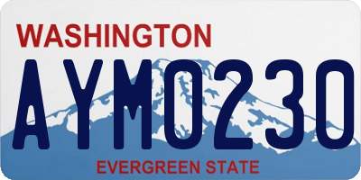 WA license plate AYM0230