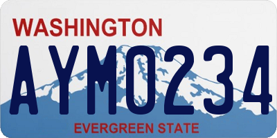 WA license plate AYM0234