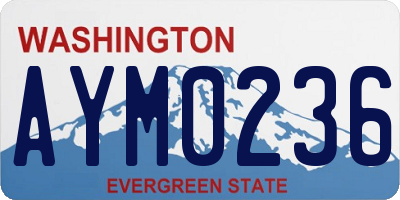 WA license plate AYM0236