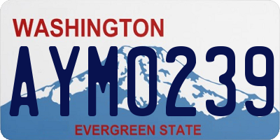 WA license plate AYM0239