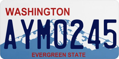 WA license plate AYM0245
