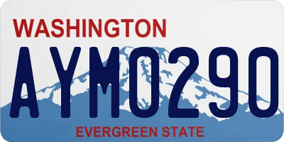 WA license plate AYM0290