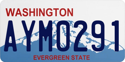 WA license plate AYM0291