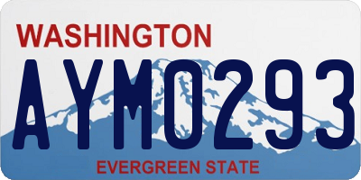 WA license plate AYM0293