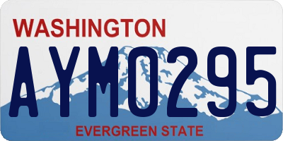WA license plate AYM0295