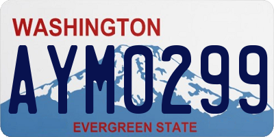 WA license plate AYM0299