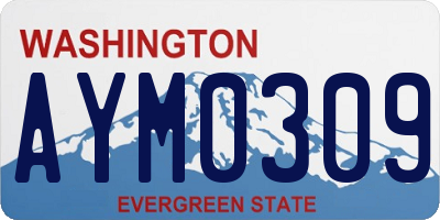 WA license plate AYM0309