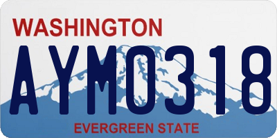 WA license plate AYM0318