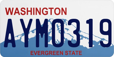 WA license plate AYM0319