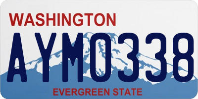 WA license plate AYM0338
