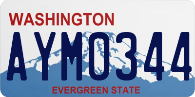 WA license plate AYM0344