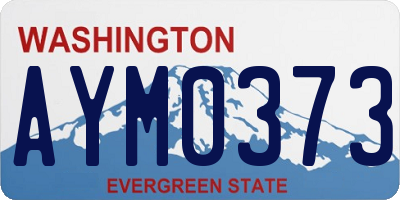 WA license plate AYM0373