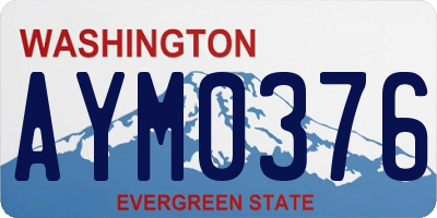 WA license plate AYM0376
