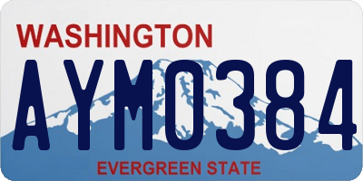 WA license plate AYM0384
