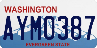 WA license plate AYM0387