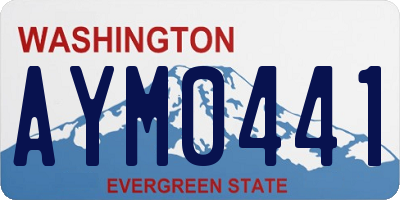 WA license plate AYM0441