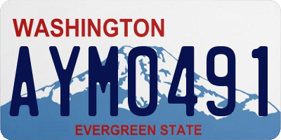 WA license plate AYM0491