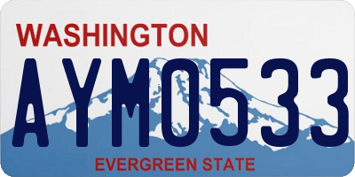 WA license plate AYM0533