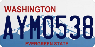 WA license plate AYM0538