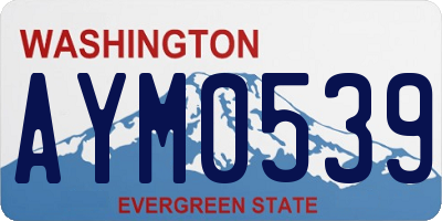 WA license plate AYM0539
