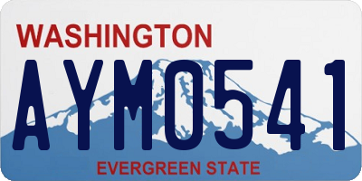 WA license plate AYM0541