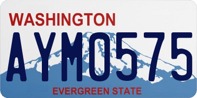 WA license plate AYM0575