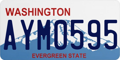 WA license plate AYM0595
