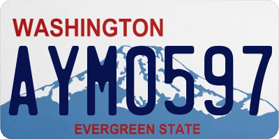 WA license plate AYM0597