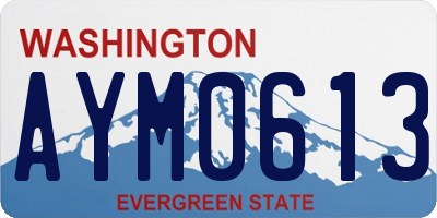WA license plate AYM0613