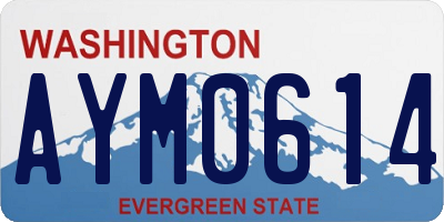 WA license plate AYM0614