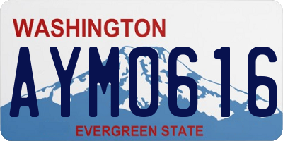 WA license plate AYM0616