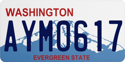 WA license plate AYM0617