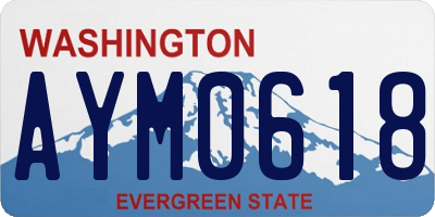 WA license plate AYM0618
