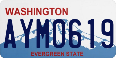 WA license plate AYM0619