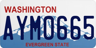 WA license plate AYM0665