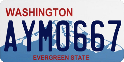WA license plate AYM0667
