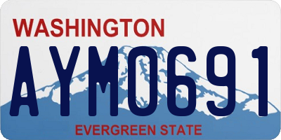 WA license plate AYM0691