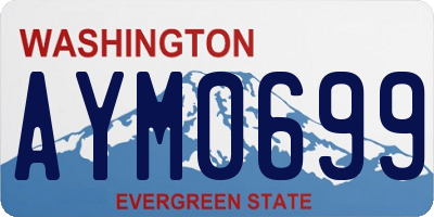 WA license plate AYM0699